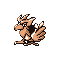 Spearow