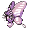 Venomoth