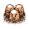 Dugtrio